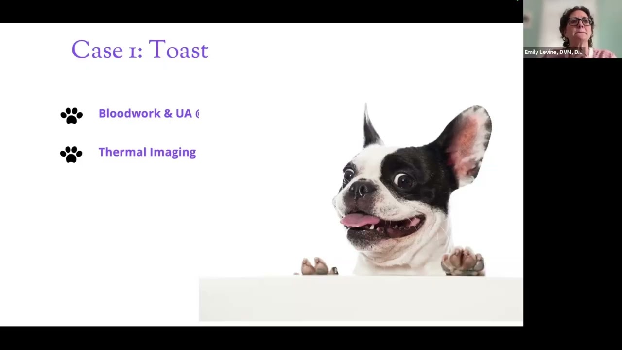 Pain and Behavior  A Case-based Talk - MMBC 1/22/26