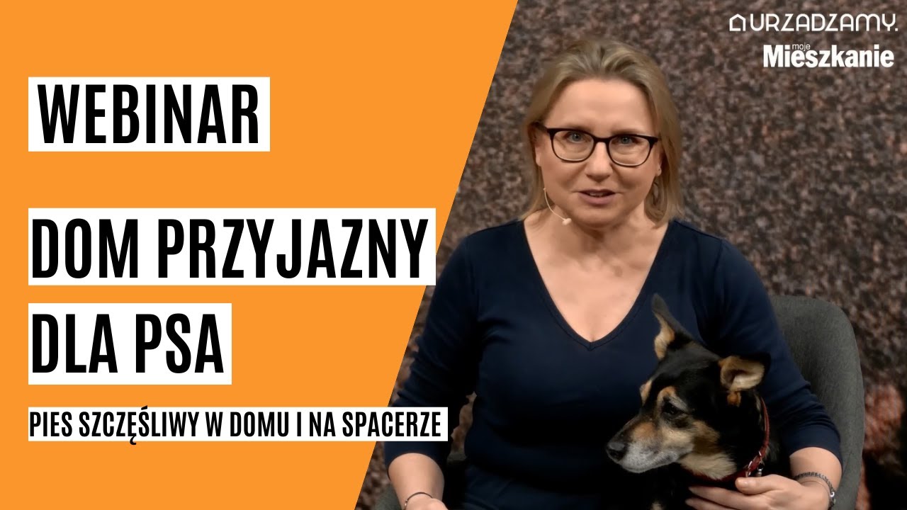 Dom przyjazny dla psa. Pies szczęśliwy w domu i na spacerze.