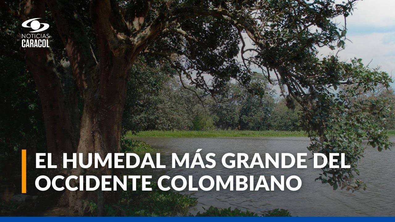 La Laguna de Sonso: un paraíso natural amenazado por especies invasoras