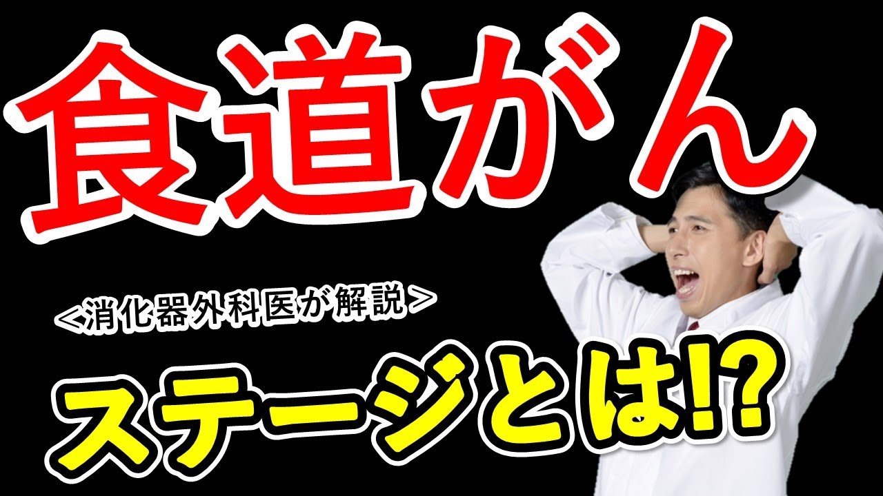 胃癌・大腸癌との違いとは！？食道癌のステージ分類【医師解説】2023