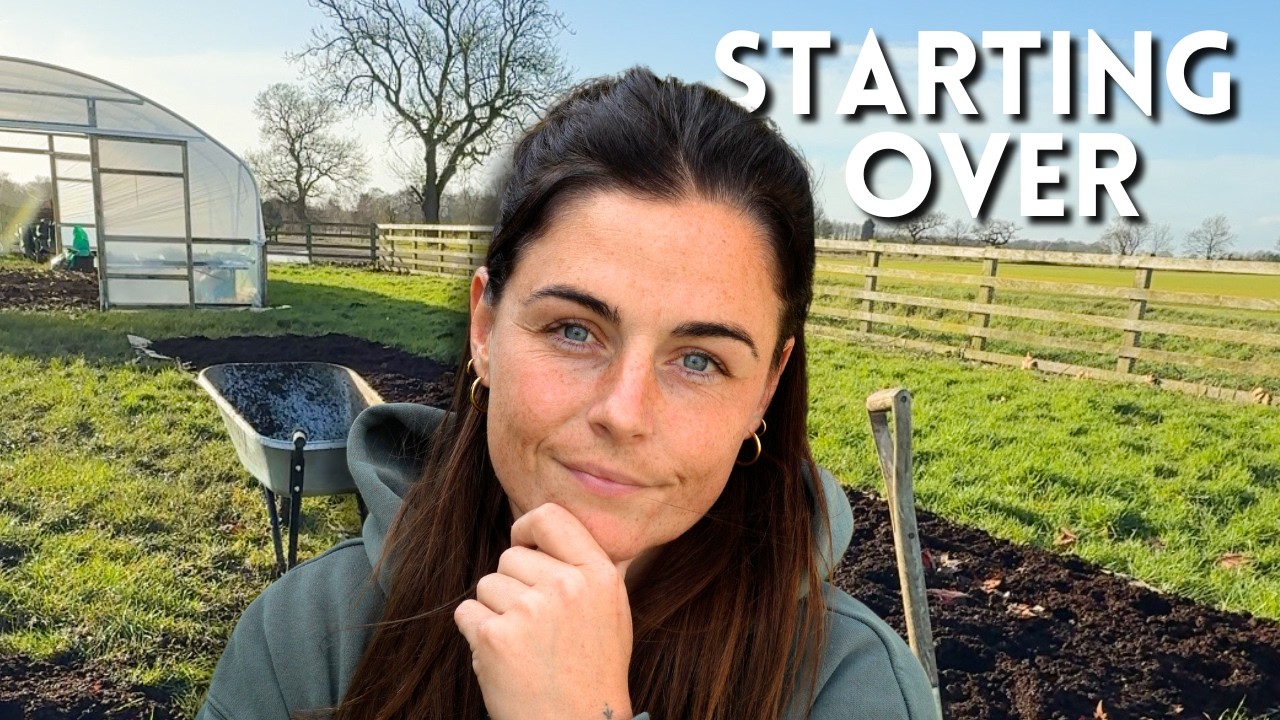 From Bare Field to Flower Farm: Behind the Scenes of a Fresh Start
