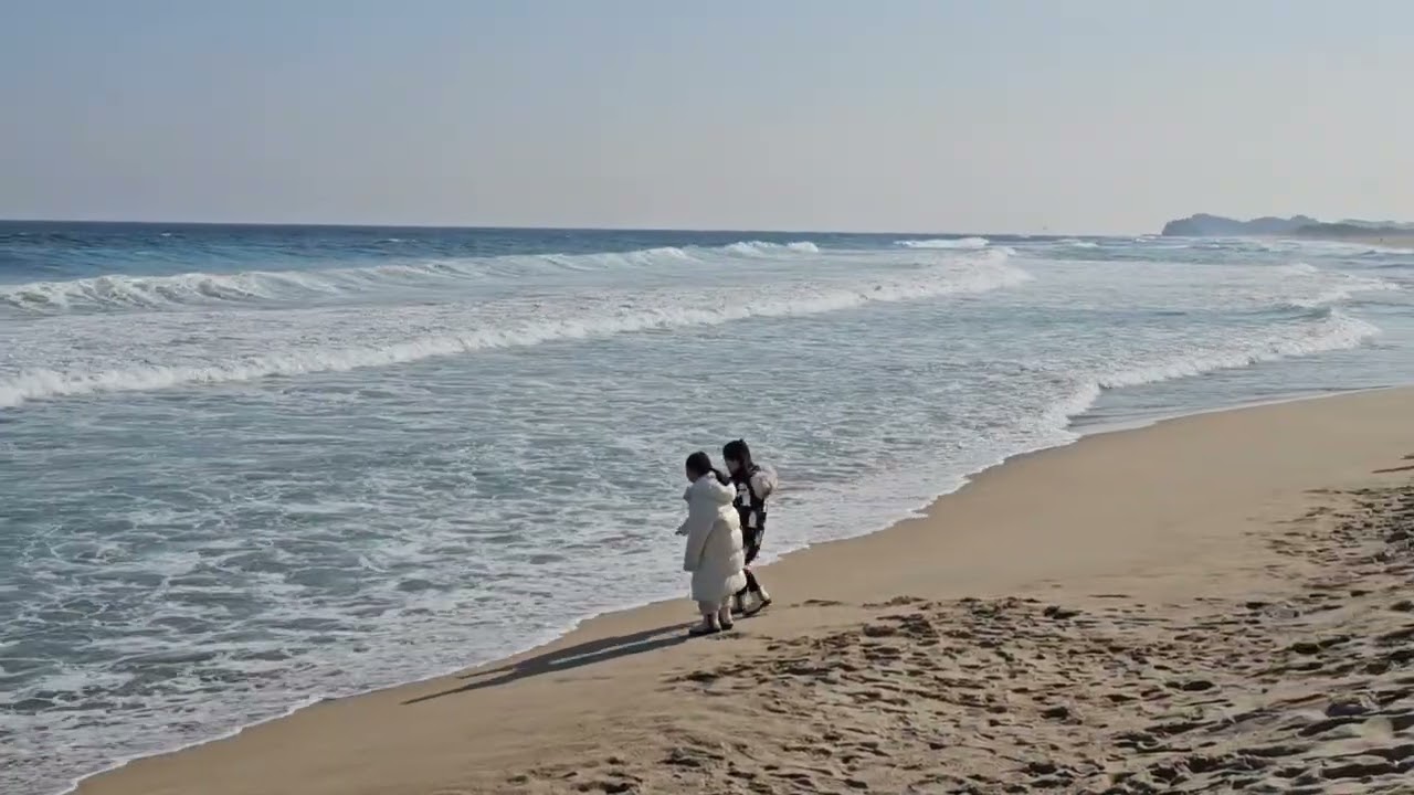 바다가 그리우면 조개를 산다/석정희  영상/박해성