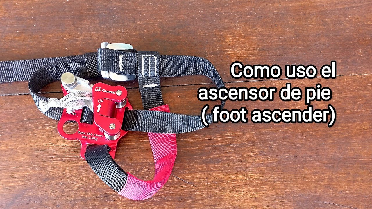 Видео на испанском языке // Foot Ascender (любительское лазание по деревьям) 🌿