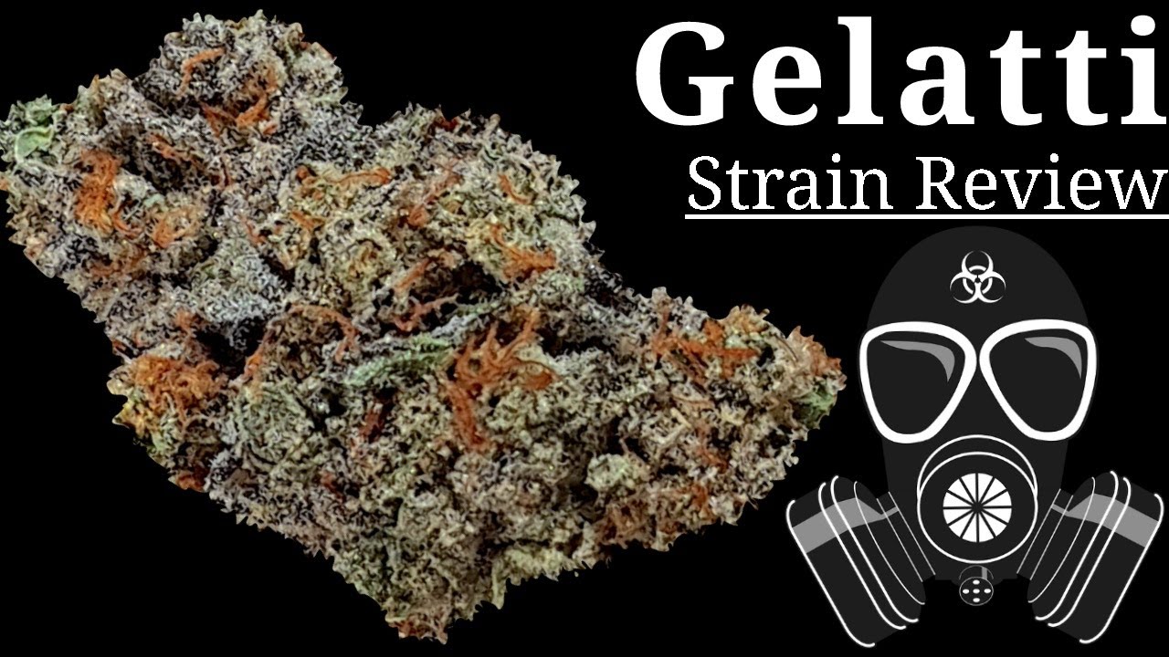 Gelatti OFFICIAL Strain Review 🍧 ⛽️ 🍧