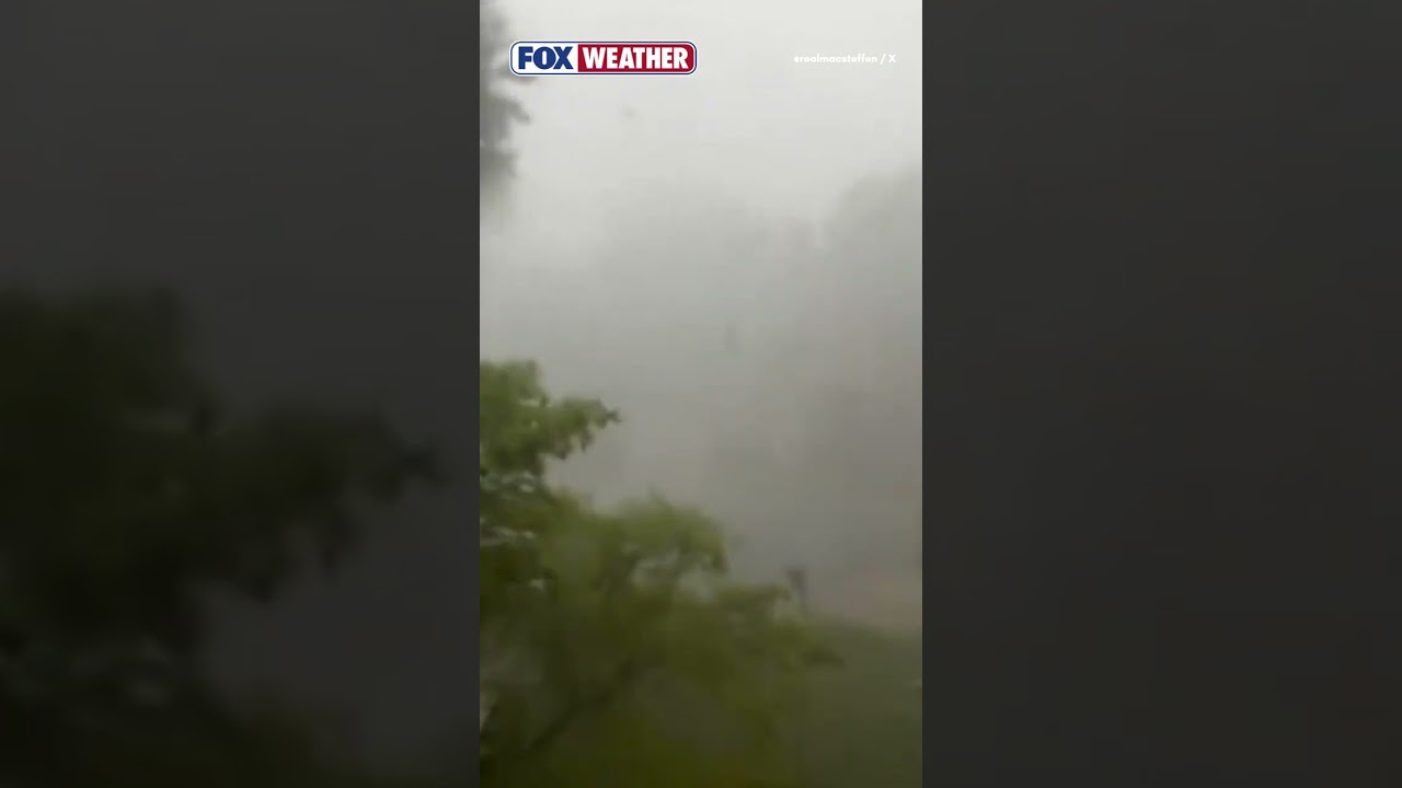 Look: Severe Storms Unleash Damaging Winds, Intense Hail, Uprooting Trees In Virginia