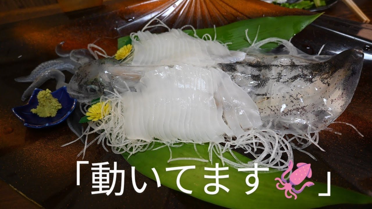 イカを食べに福井県三方五湖へ