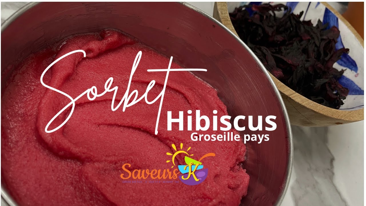 Sorbet hibiscus (groseille pays)- Saveurs K