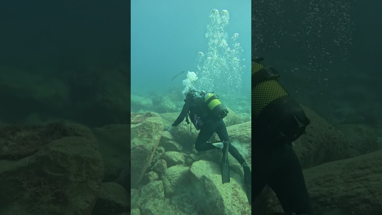 Tenerife, scuba diving session, 29-Nov-2025 - 1 of 2