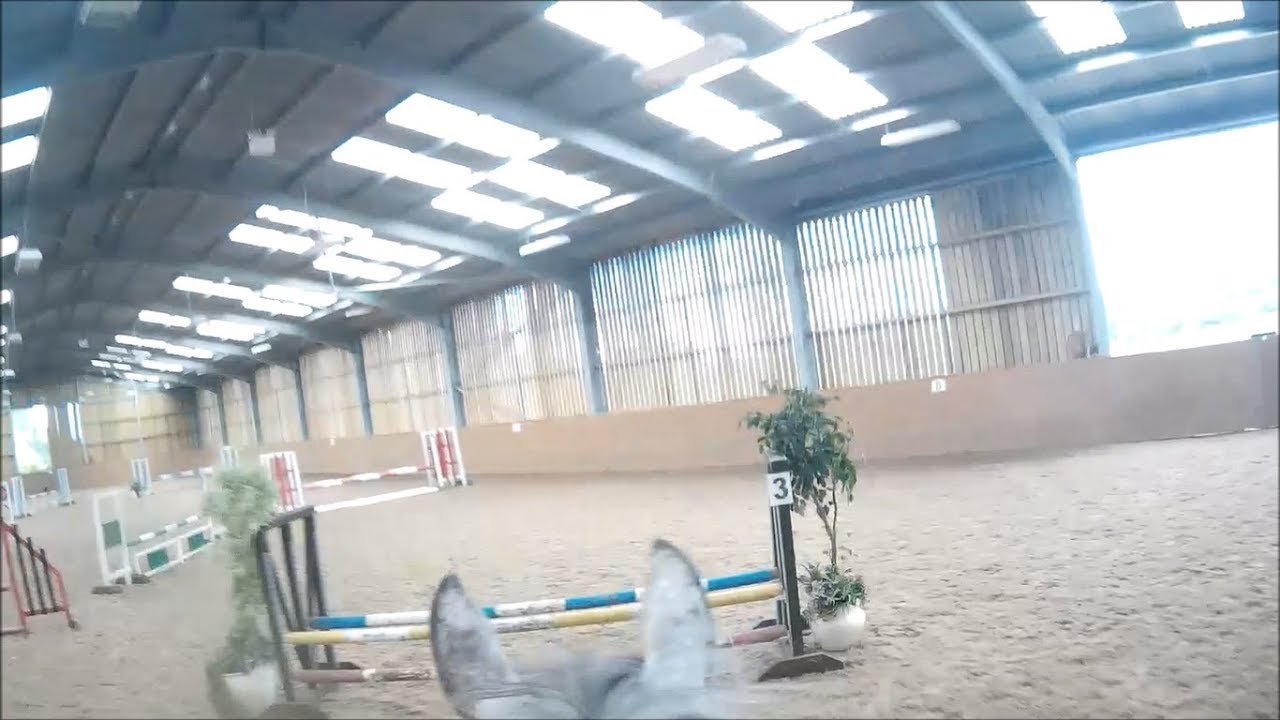 Moor Farm Stables clear round - Spotty