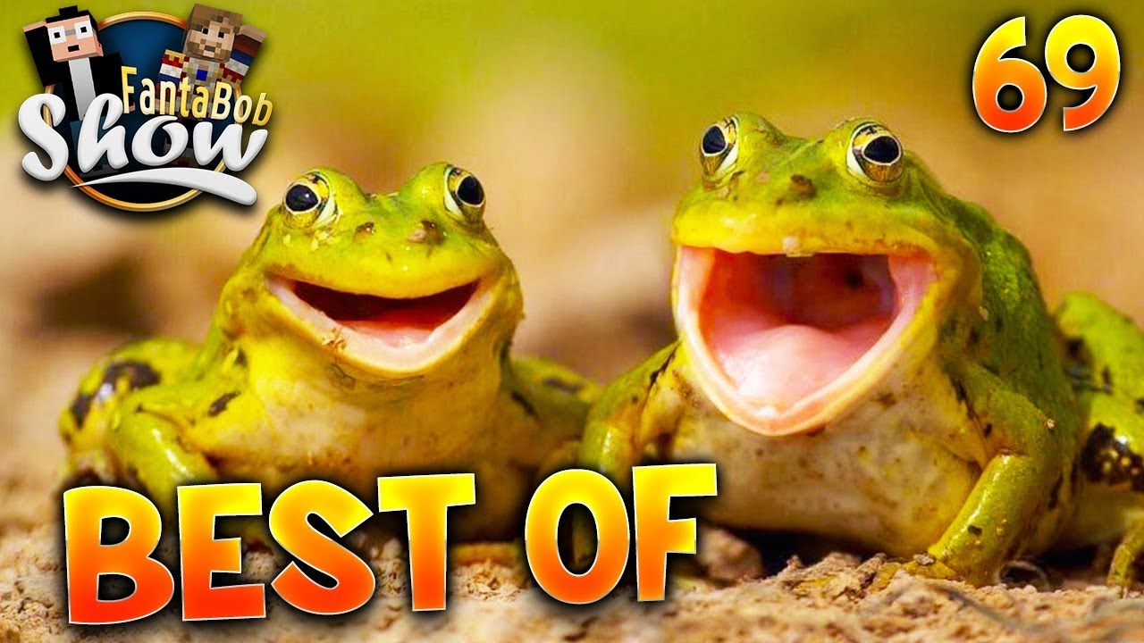 Best Of Fanta et Bob - Ep 69 - TESTILAND BIENTÔT DANS LES ANNALES !