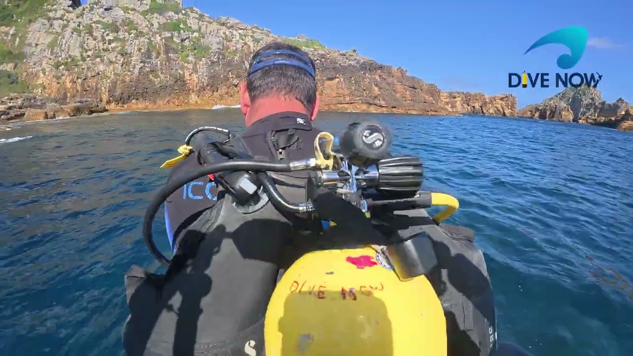 PATRICIA AND NEIL HUBER Diving the Poor Knights Islands in New Zealand with Dive Now