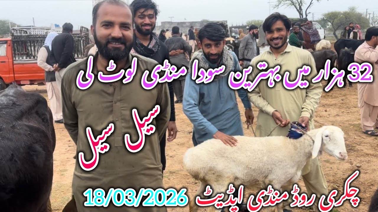 Today Bakra Mandi Ranyal chakri road RWP latest update 18 March 2026