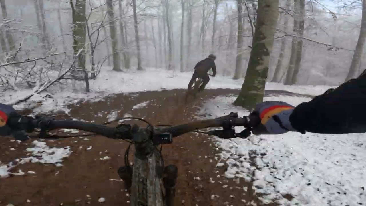 Burdindogi 2026.01.24: Frozen-MagnuCarbo III