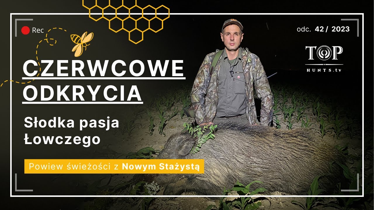 Polowanie na dziki, polowanie na rogacze, miodobranie i wiele innych