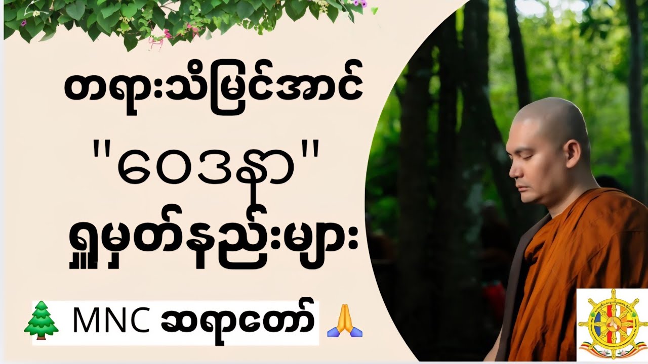 တရားသိမြင်အောင် ဝေဒနာ ရှူမှတ်နည်းများ  🙏14. 7 .2025 🌲MNC ဆရာတော်🙏