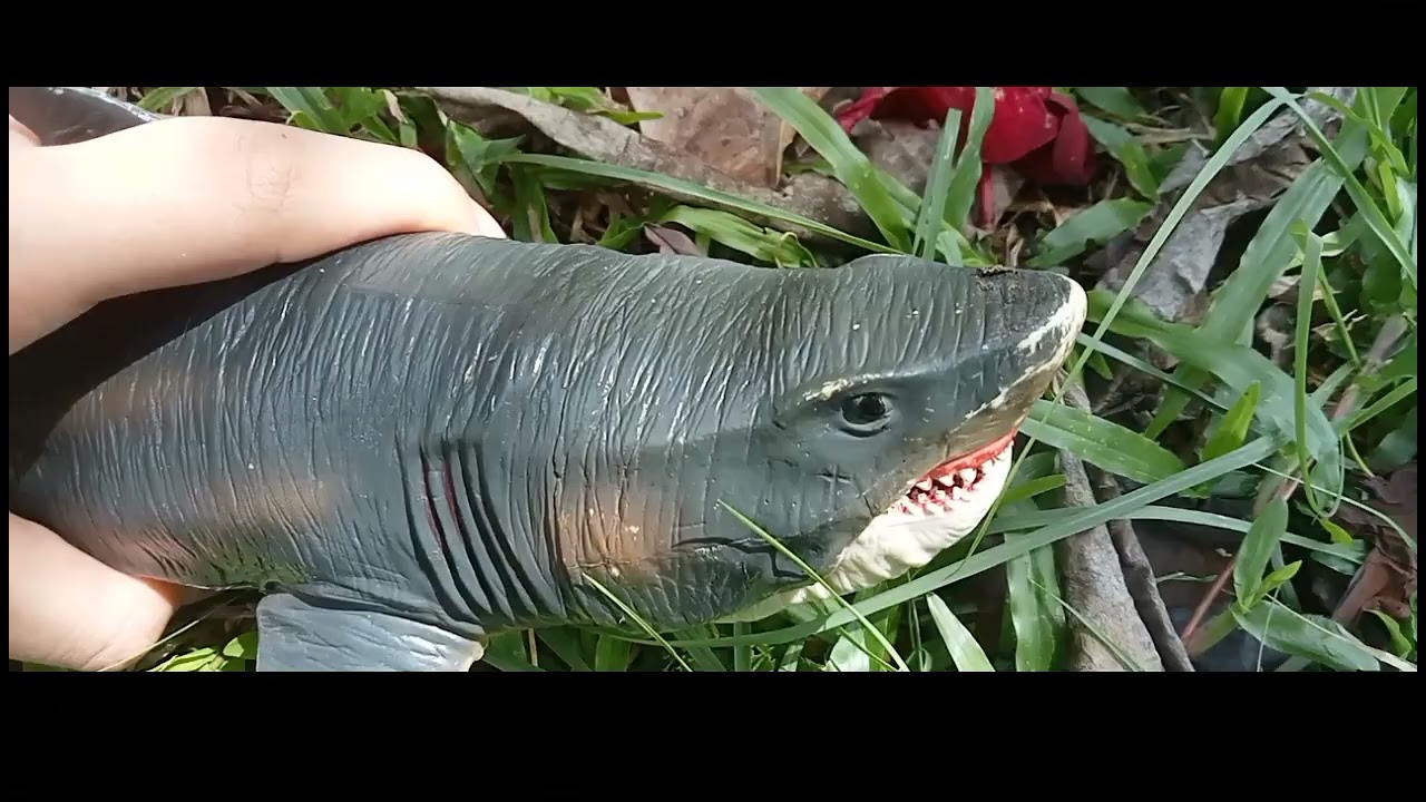 Dolphin puppet the movie 2: dolphin puppet and the last time machine teaser