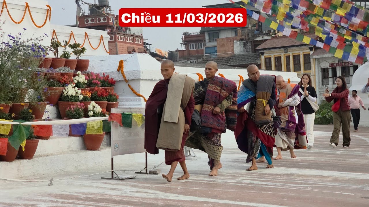 Huynh đệ sư Minh Tuệ đi diễu tháp chiều 11/3/26