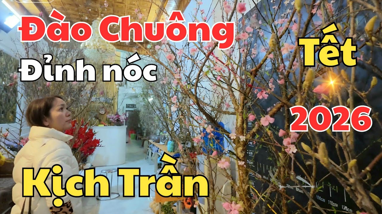 Đào Chuông Yên Tử, đẹp đỉnh nóc kịch trần đón xuân Bính Ngọ 2026