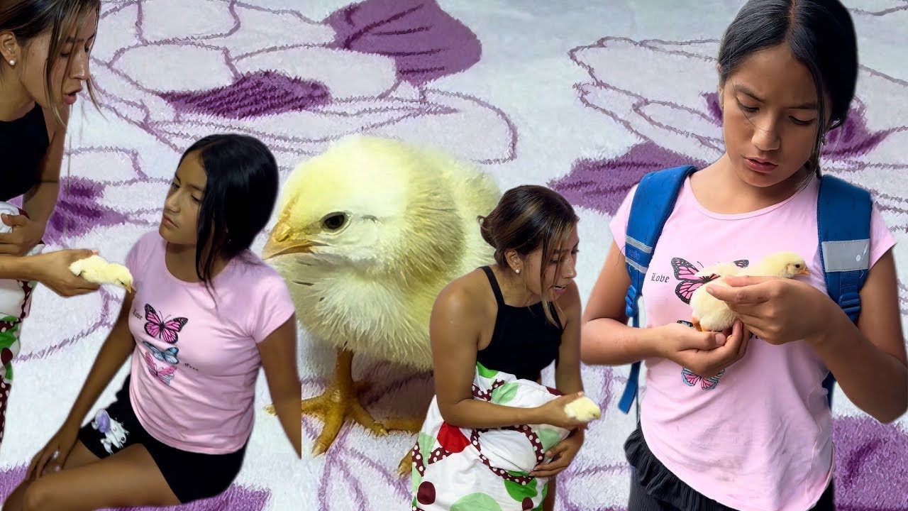 Cuando tu mamá no te deja tener un pollo