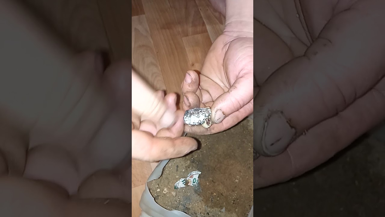 Сака-асык балдарга  жасап корсеттiк.