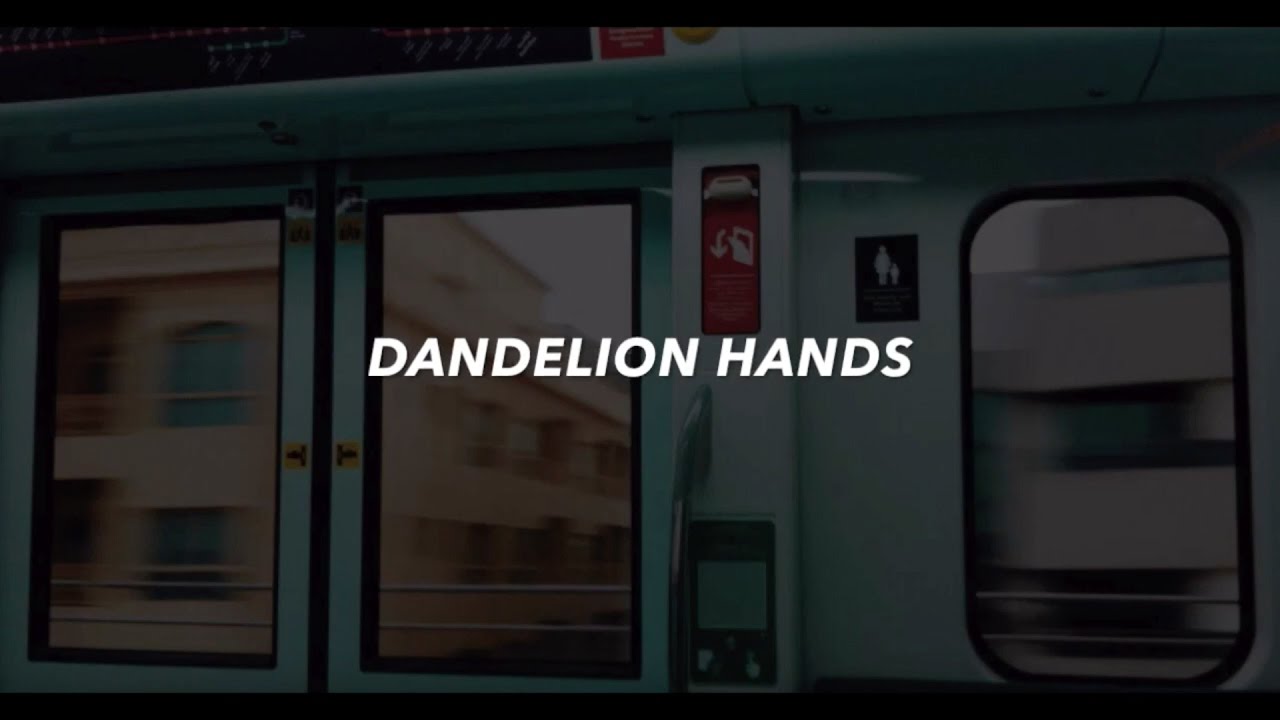 dandelion hands // i like you (lyrics)