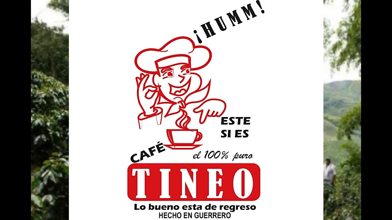 CAF&Eacute; TINEO