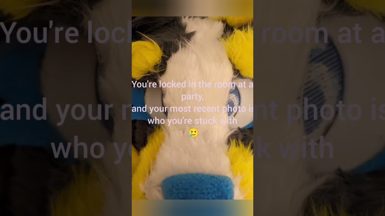 cat #fursuit #party #myaudio #antizoo #cat @Chefpanda9 👈 her cat