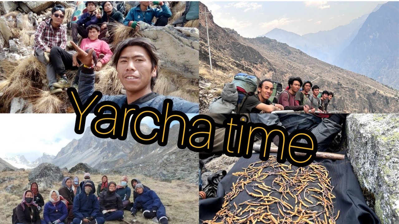 yarcha time my new vlog mugu