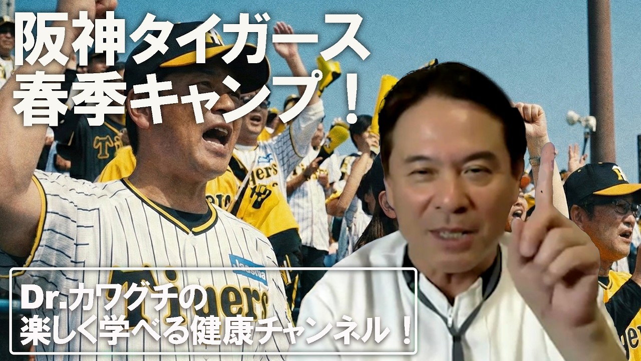 阪神タイガース春季キャンプ