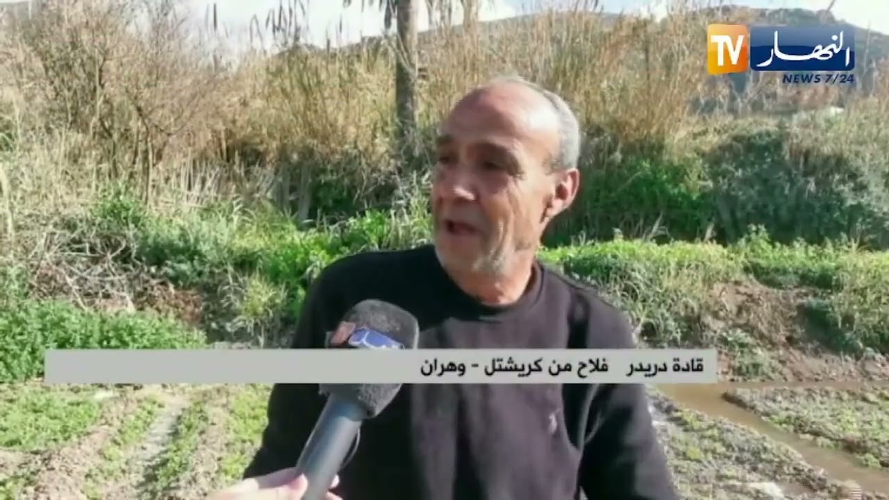 وهران: ثروات فلاحية..يحتضنها جمال طبيعي بكريشتل ويخدمها فلاحون بامكانيات بسيطة