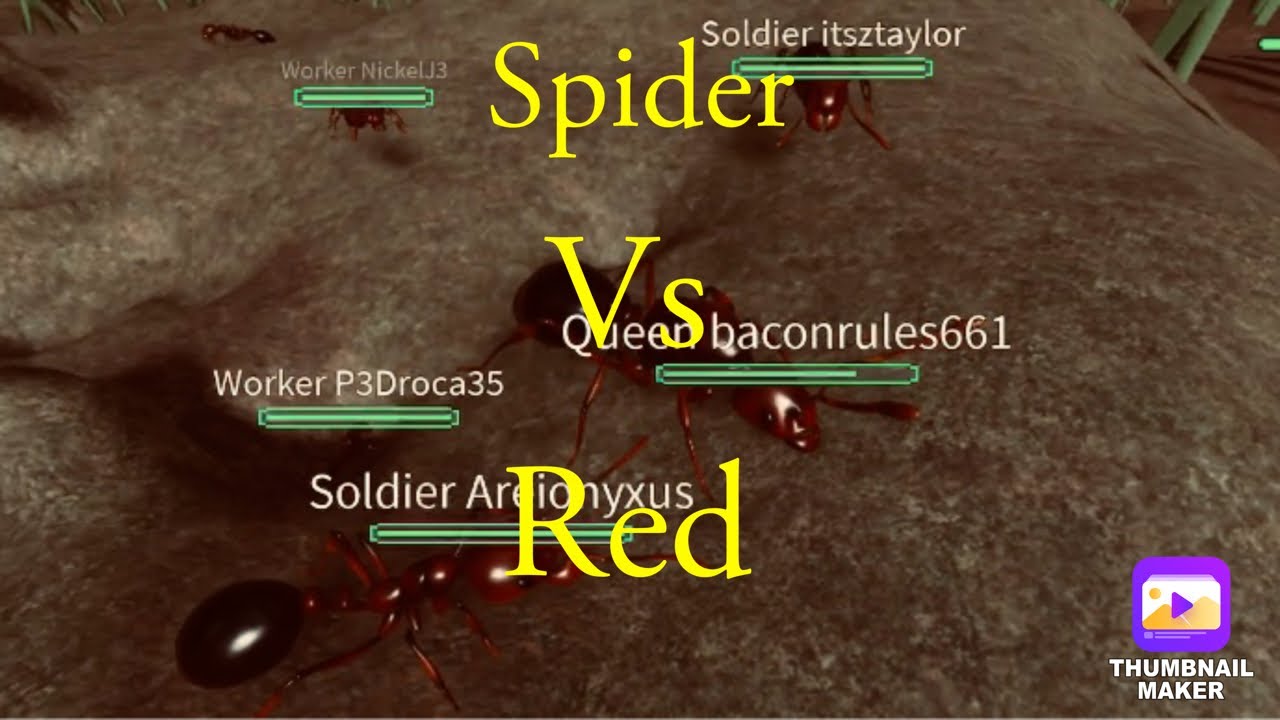 Spider vs Red round 3||| Roblox ant life