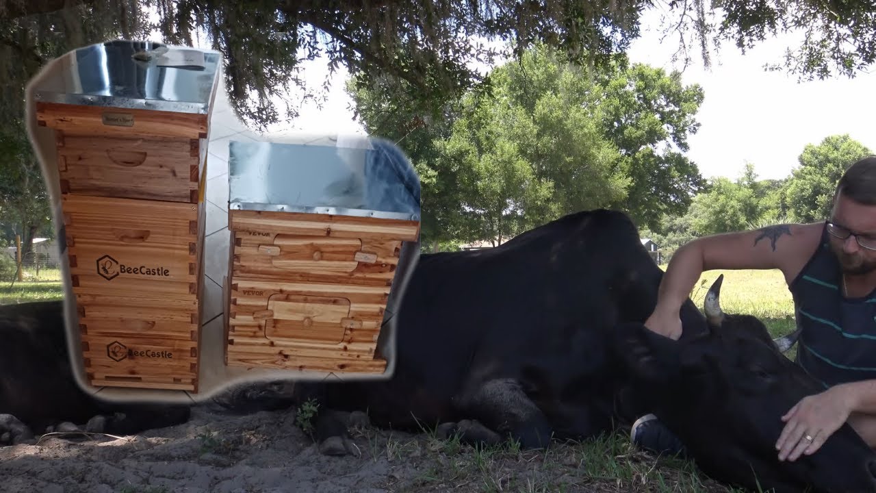 Building Beehives after a Busy Spring on the Homestead!