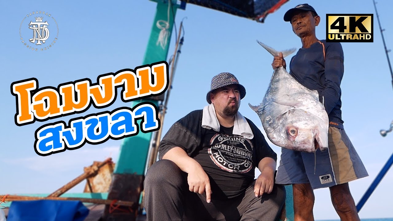 ปลาโฉม สงขลา | African pompano Songkhla