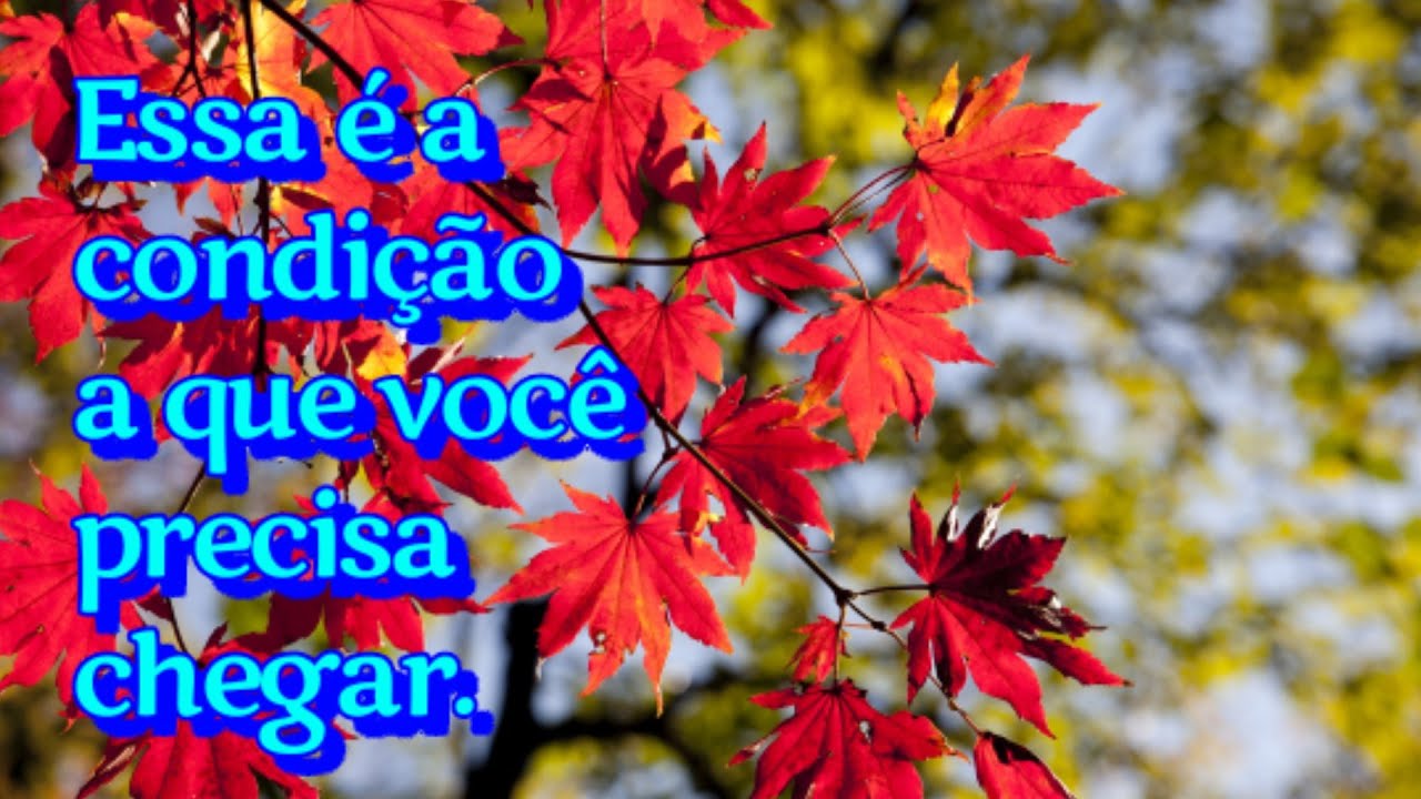 A Condição Que Deus Nos Quer. - Ir. Branham