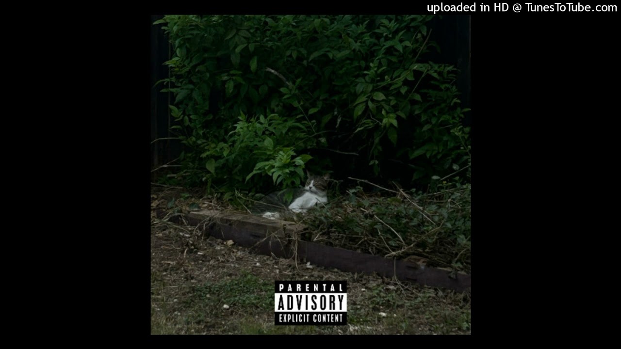 shred - nasty (prod. whoslump) [official audio]