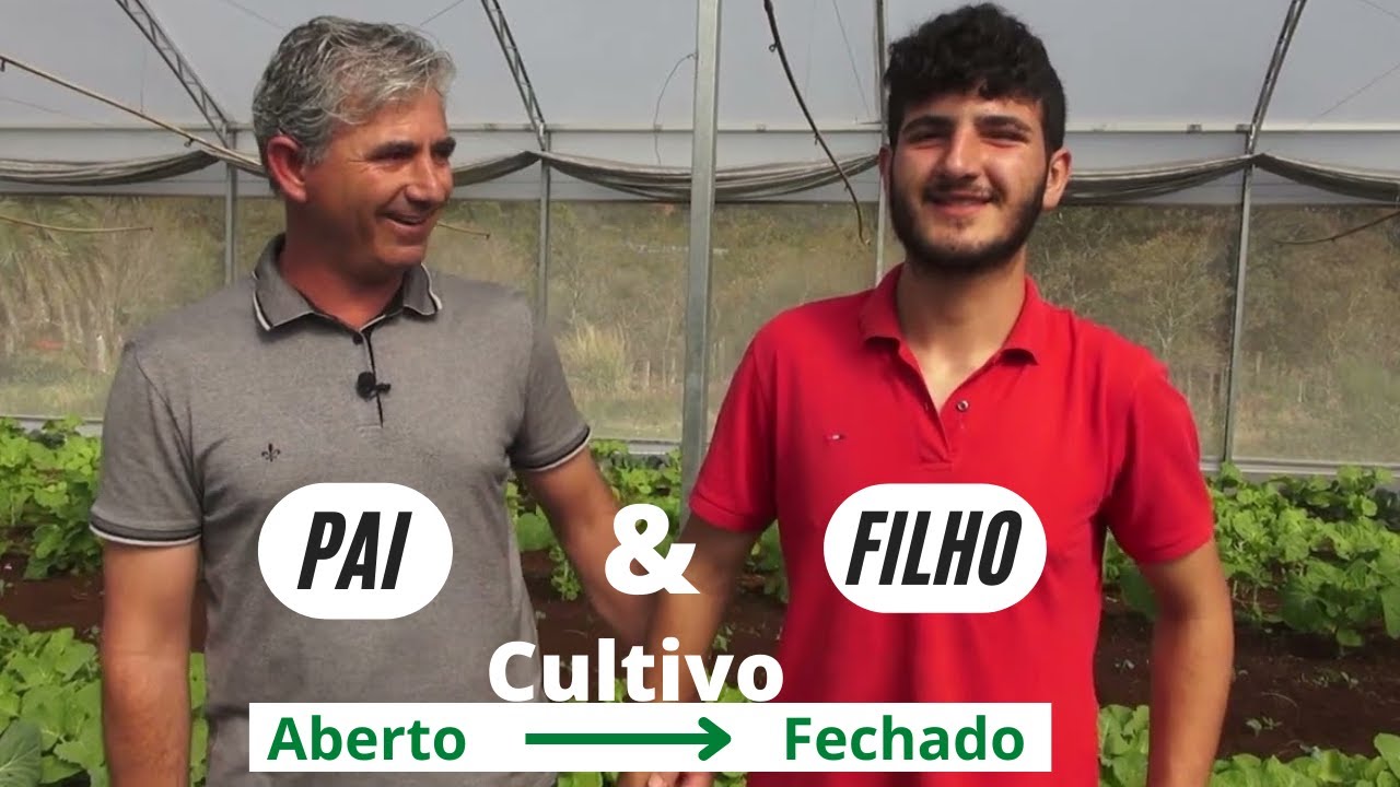 PLANTIO COBERTO OU CAMPO ABERTO: QUAL O MELHOR?