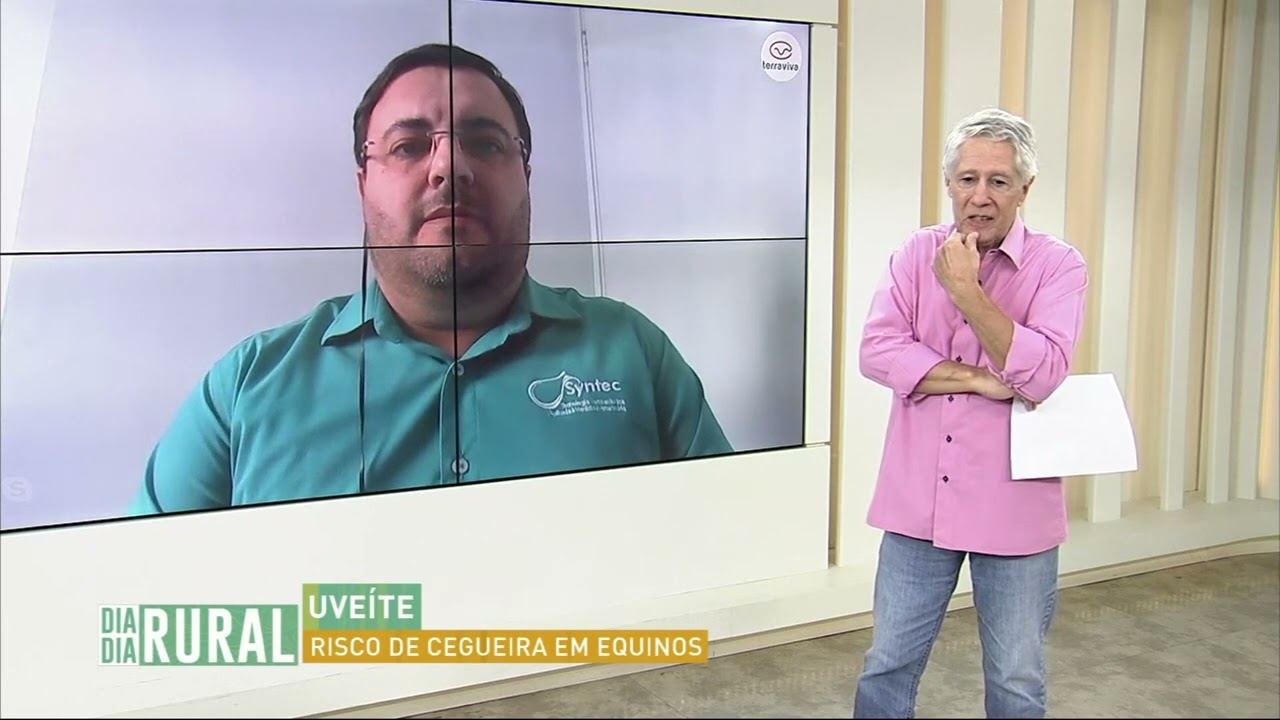 Uveíte: risco de cegueira em equinos
