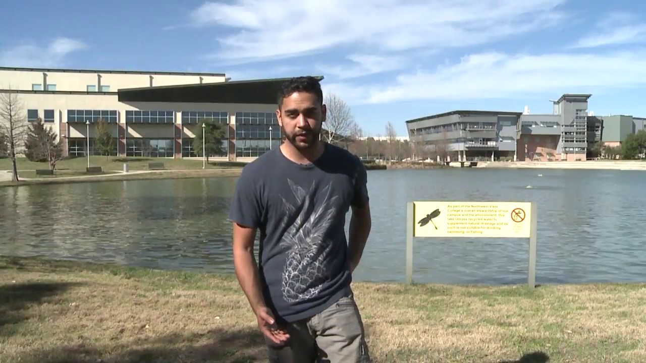 DVCP Intro to Video Class