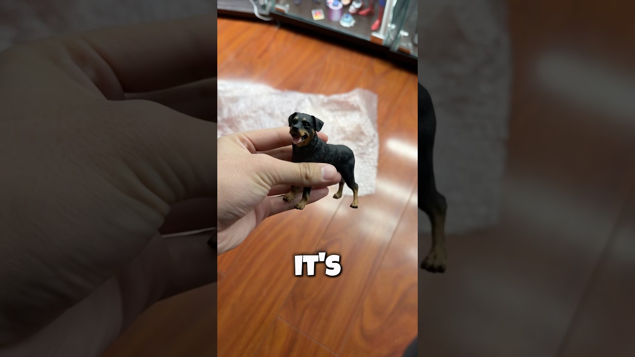 CHOP GTA 5 REVIEW 🔥