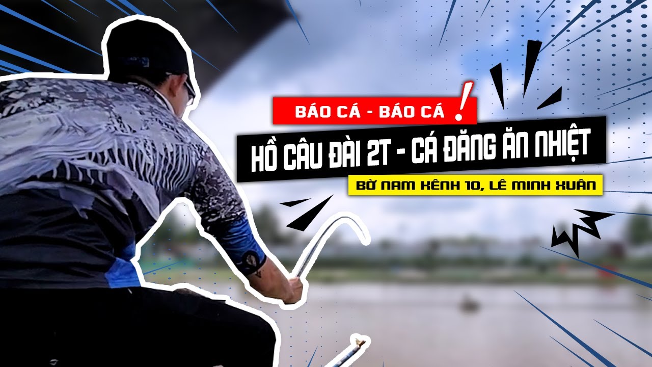 Báo Cá Hồ Đài 2T Ở Bờ Nam Kênh 10 - Lê Minh Xuân #fishing #câucárôphi #yongfeng97fishing