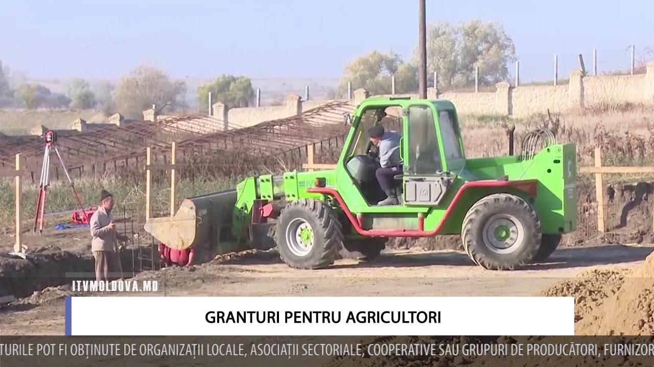 GRANTURI &Icirc;N AGRICULTURĂ