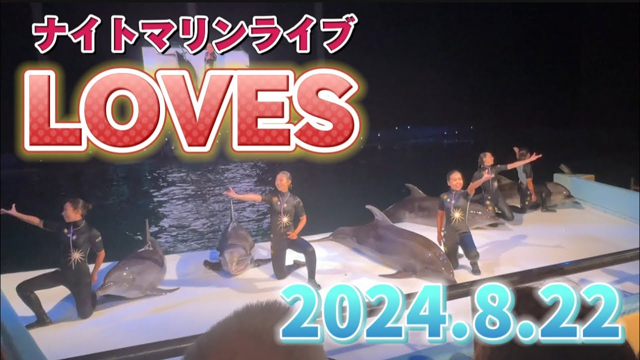 ナイトマリンライブ「LOVES」 2024.8.22 【アドベンチャーワールド】 #イルカショー #アドベンチャーワールド #loves