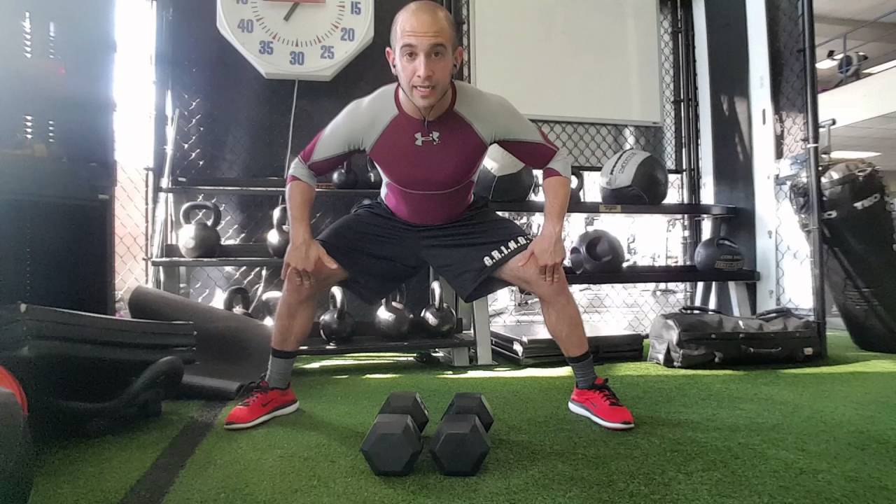 Sumo Alternating Dumbbell Row Exercise Technique
