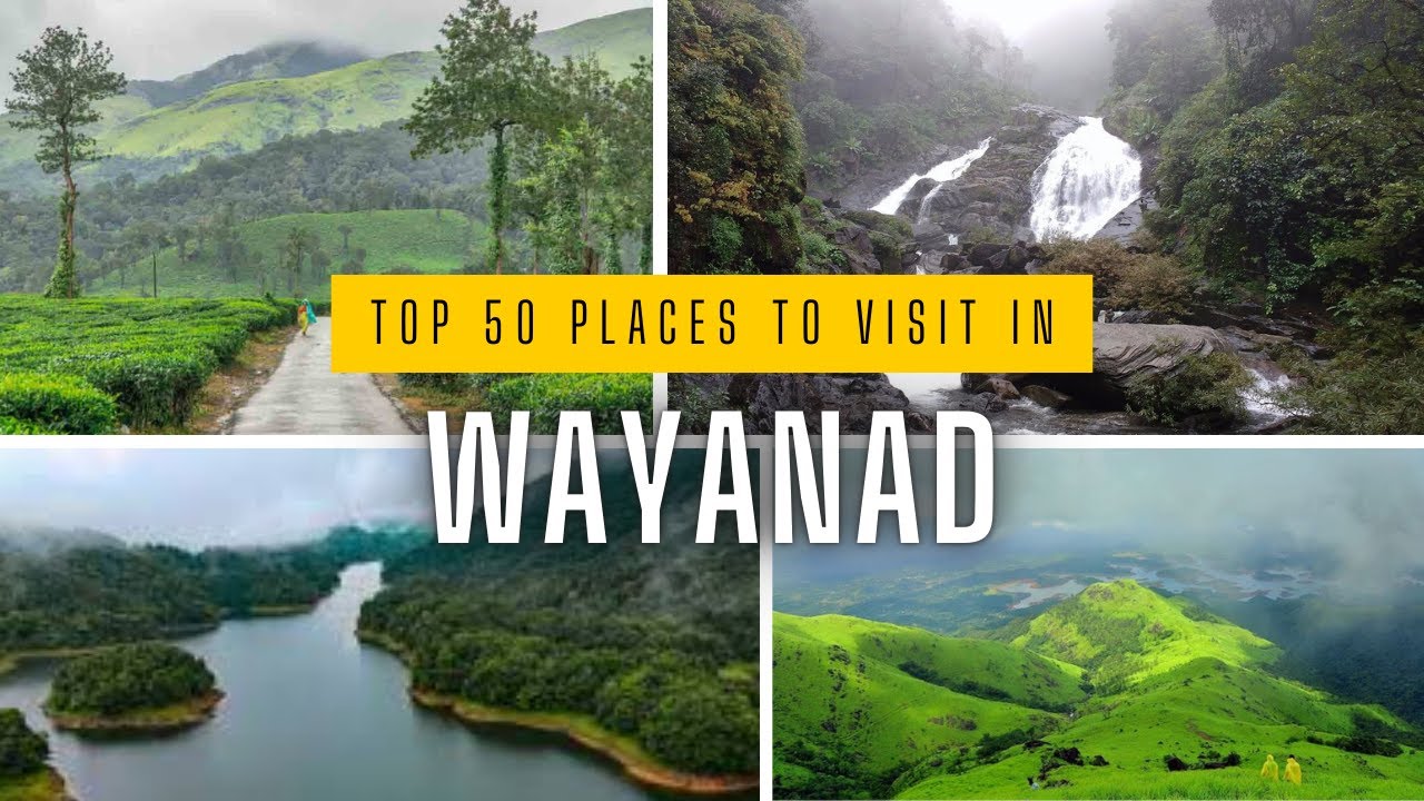 Top 50 Visiting places of Wayanad | Wayanad visiting places | Kerala Tourism | Wayanad Travel Guide