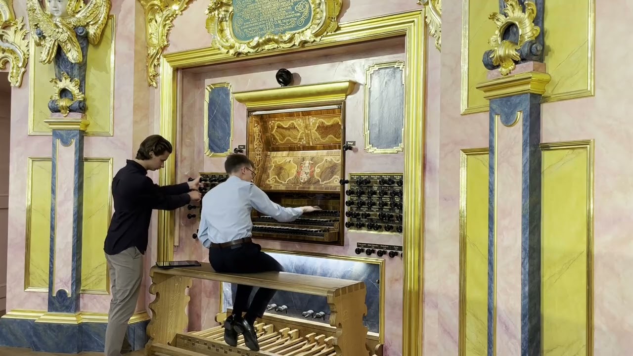 Felix Mendelssohn-Bartholdy - VI Sonata d-moll op. 65: I. Chorale: Andante Sostenuto. Allegro molto