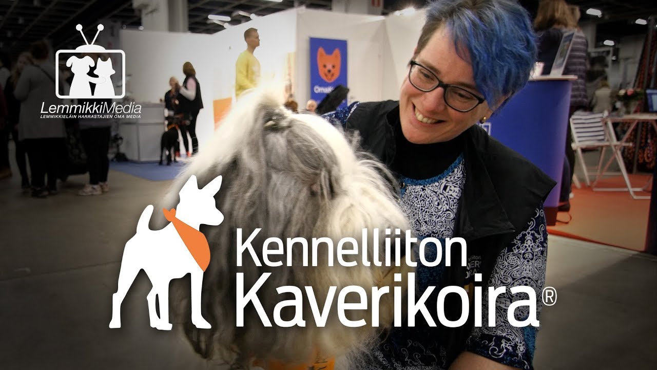 Kennelliiton KAVERIKOIRAT