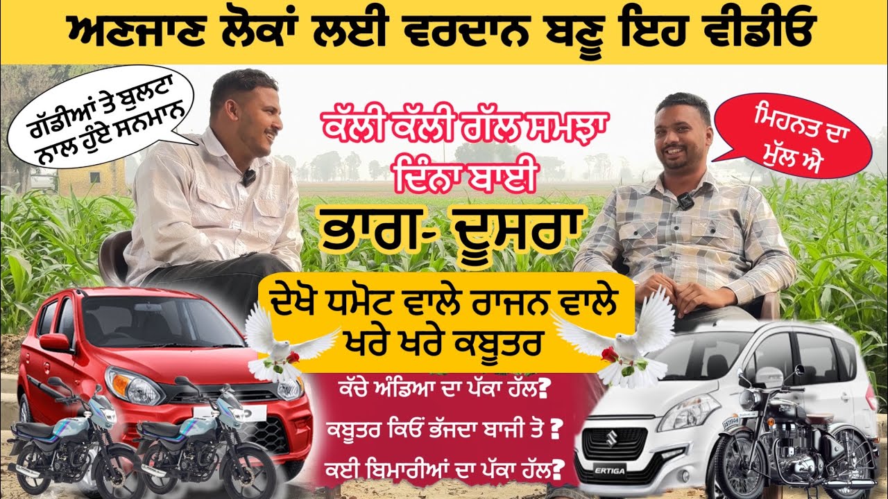 ਦੇਖੋ ਉਹ ਕਬੂਤਰ ਜਿਹੜੇ ਨਿੱਕੇ ਨਿੱਕੇ ਪਿੰਡਾਂ ਤੋ ਬੀ ਨ੍ਹੀ ਤੁਰਦੇ #ਸਟਾਰਕਬੂਟਰਬਾਜ਼ #starkabutarbaaz