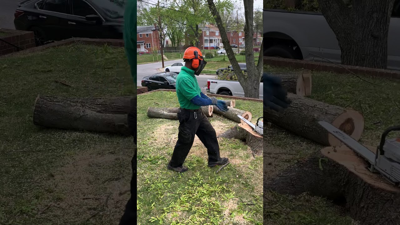 Ethiopian man landscaping in america