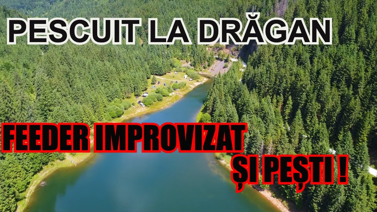 CUM AM TRANSFORMAT BOLOGNEZA ÎN FEEDER PE MALUL LACULUI DRĂGAN – ȘI A MERITAT DIN PLIN!