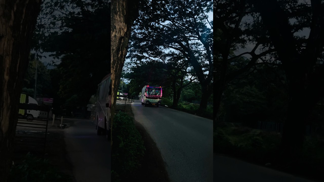 Bus ALS 346 menuju Pulau Jawa #als #antarlintassumatera #als346 #bismania #panyabungan